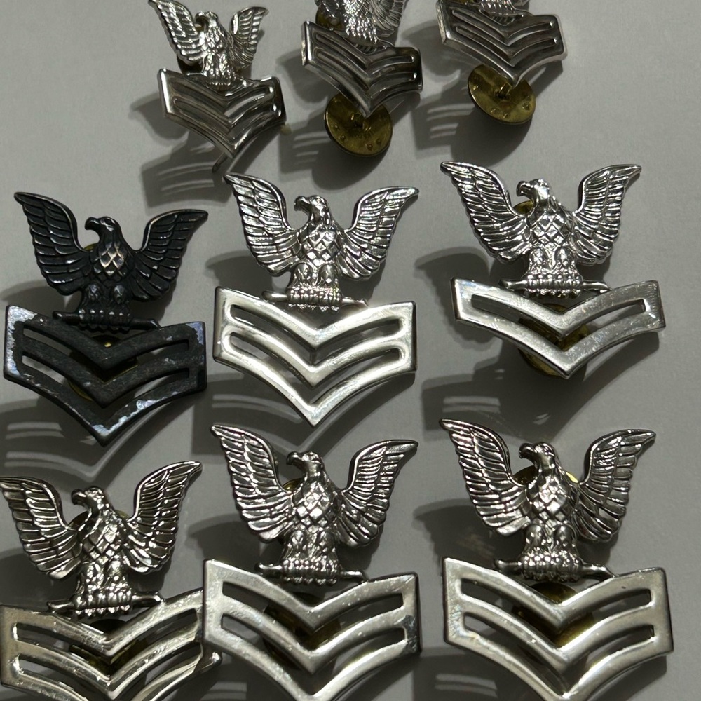 Silver and Black Eagle Insignia Pins